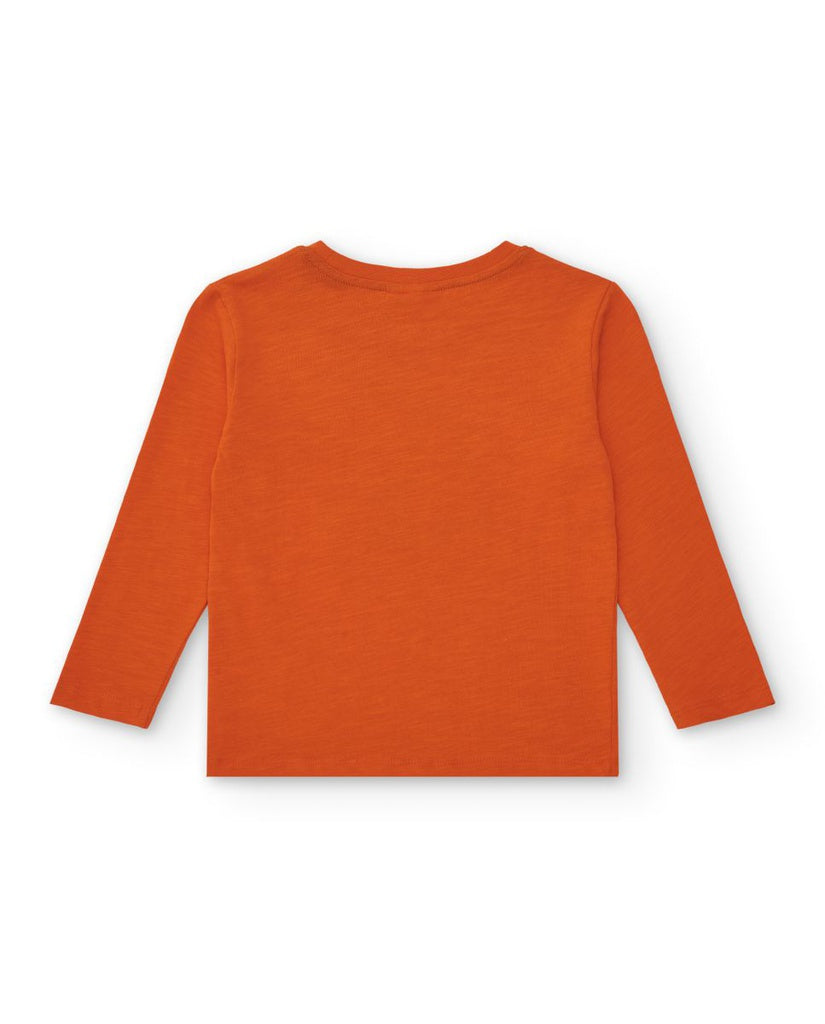 Camisola Icebreaker