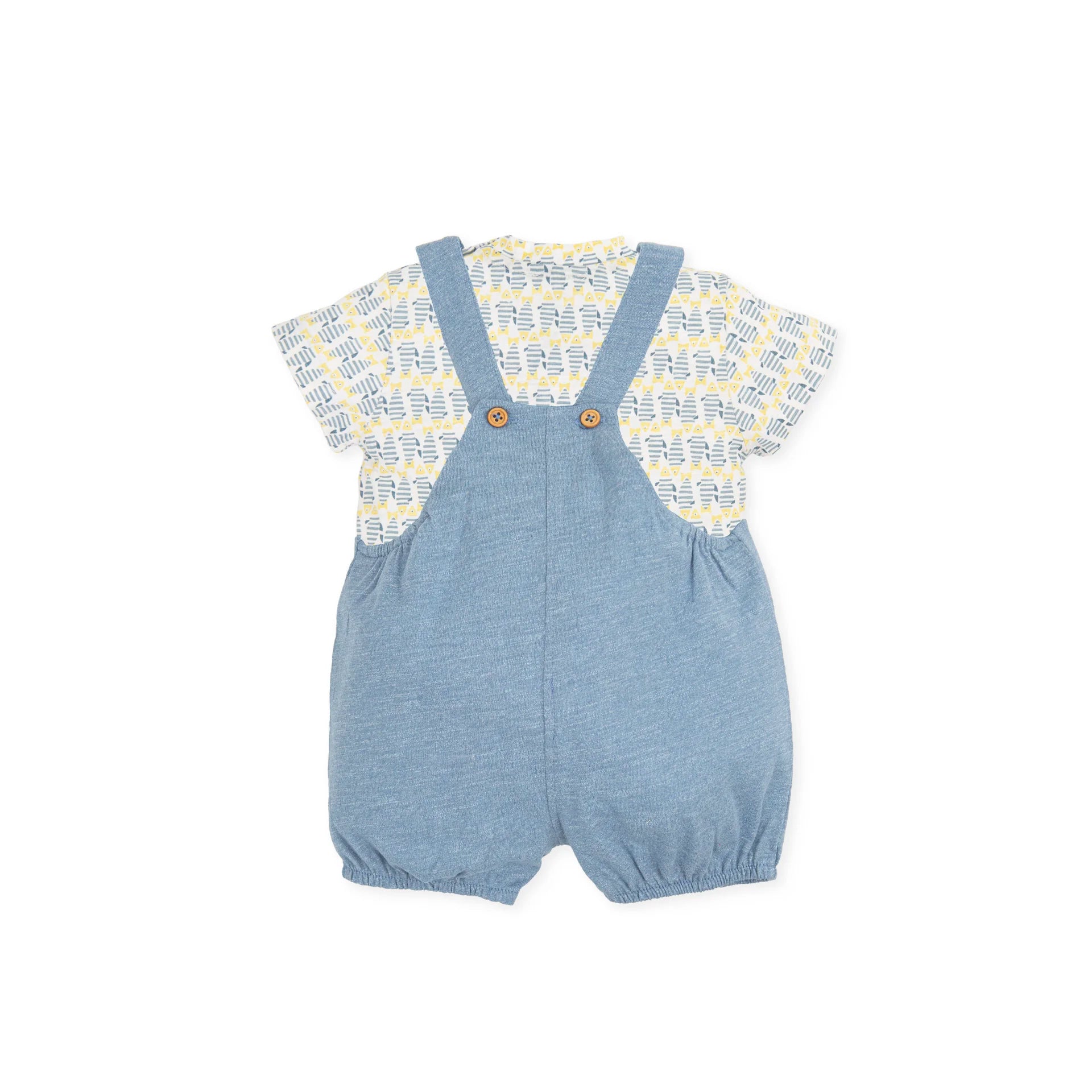 Conjunto Azul Claro