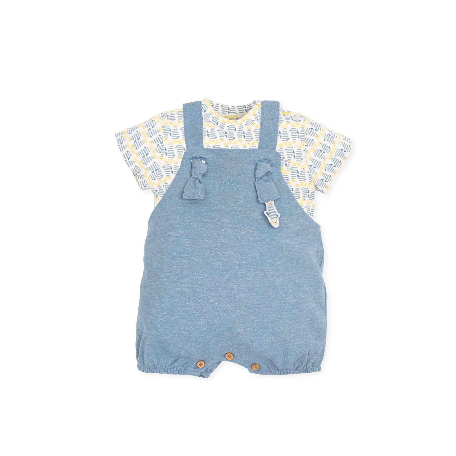 Conjunto Azul Claro