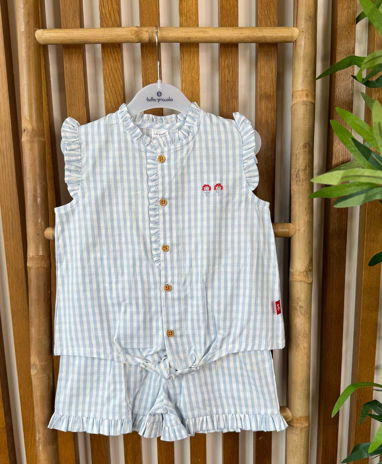Conjunto Azul