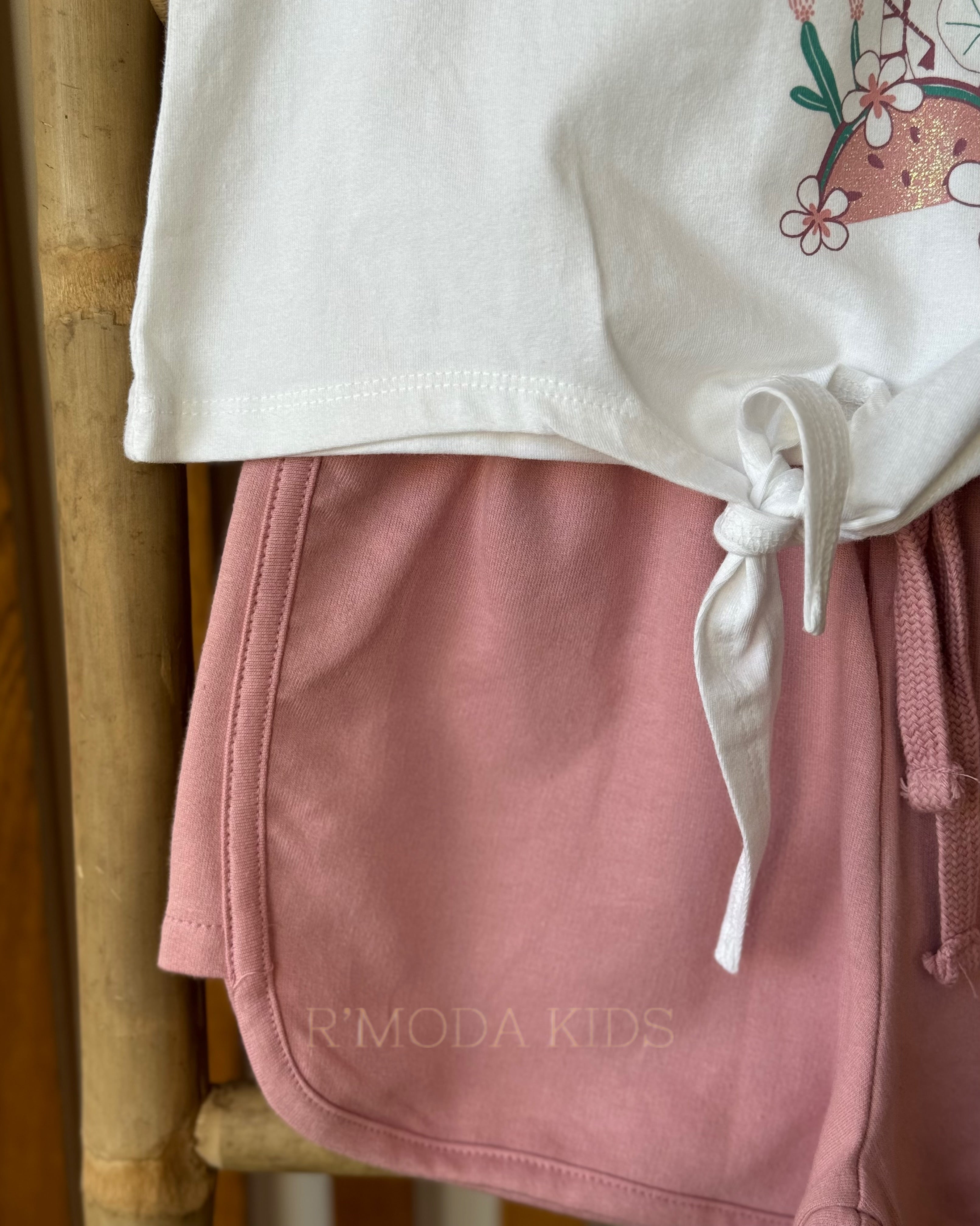 Conjunto Palmeiras