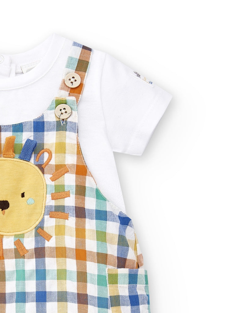 Conjunto Animal Life