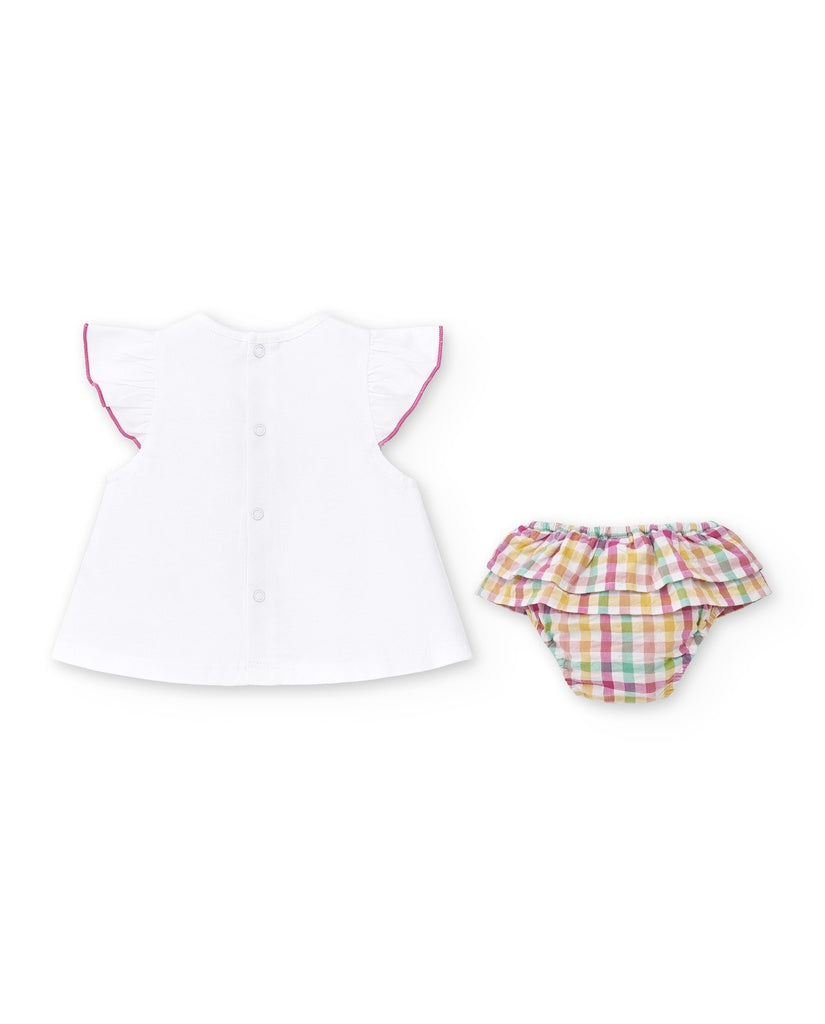 Conjunto Animal Life