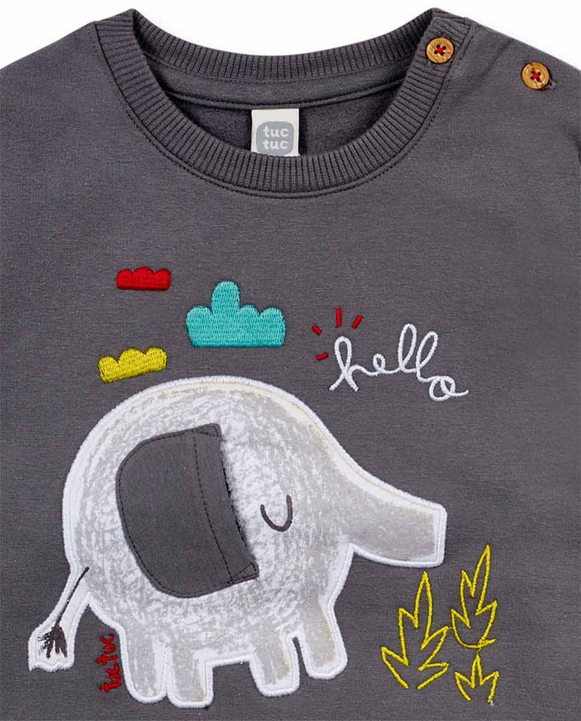 Conjunto P´tit Zoo